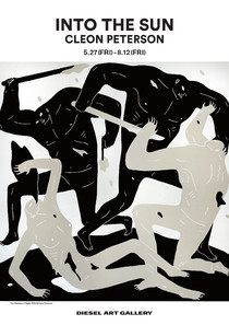 Into the Sun / Cleon Peterson